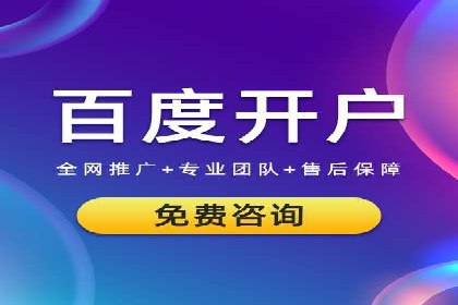 SEM搜索引擎优化案例：如何提升网站流量和转化率